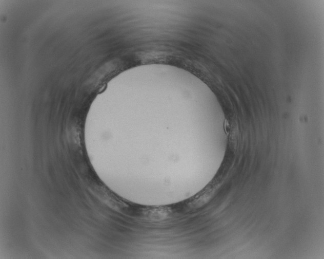 X0000072990282200608211523