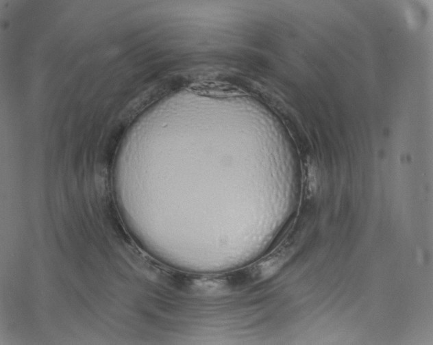 X0000072990283200608211523