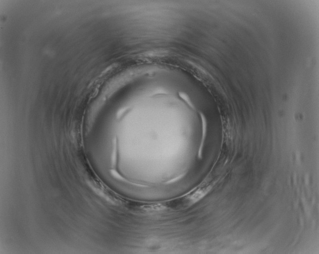 X0000072990284200608211523