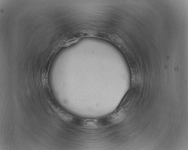 X0000072990285200608211523