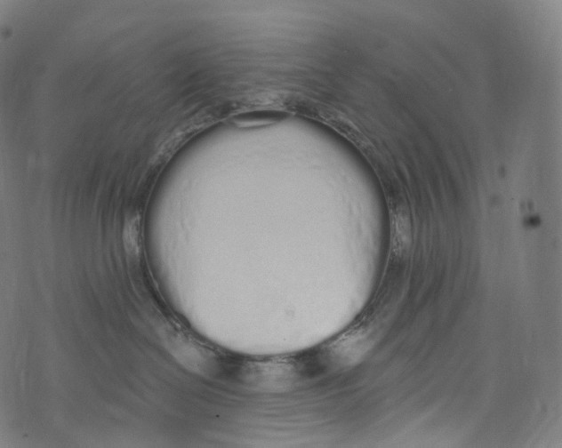 X0000072990286200608211523