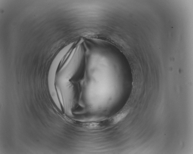 X0000072990288200608211523