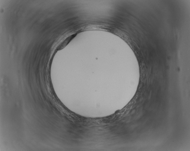 X0000072990289200608211523