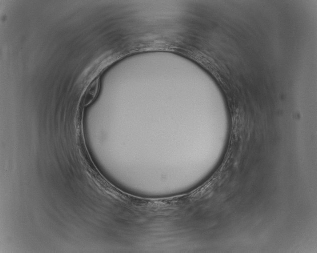 X0000072990290200608211523