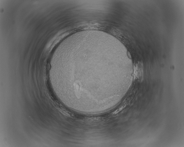 X0000072990291200608211523