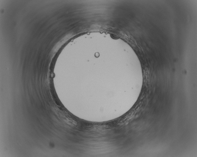 X0000072990292200608211523