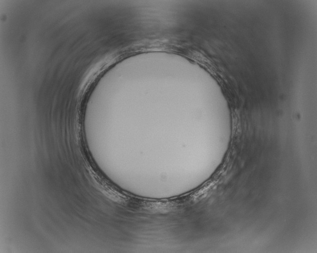 X0000072990293200608211523