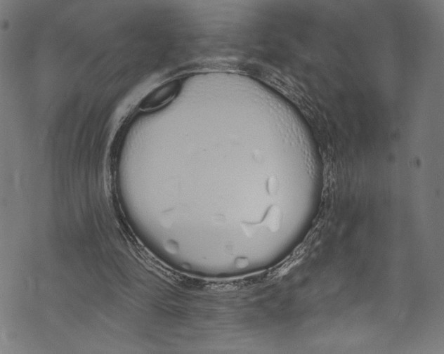 X0000072990294200608211523