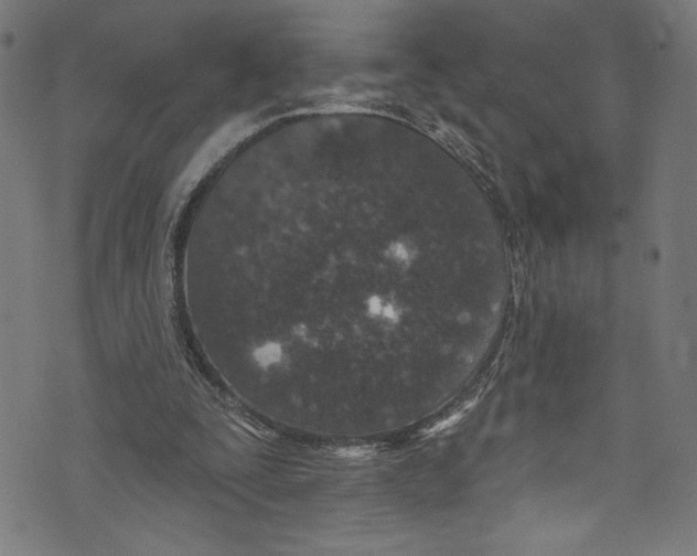 X0000072990295200608211523