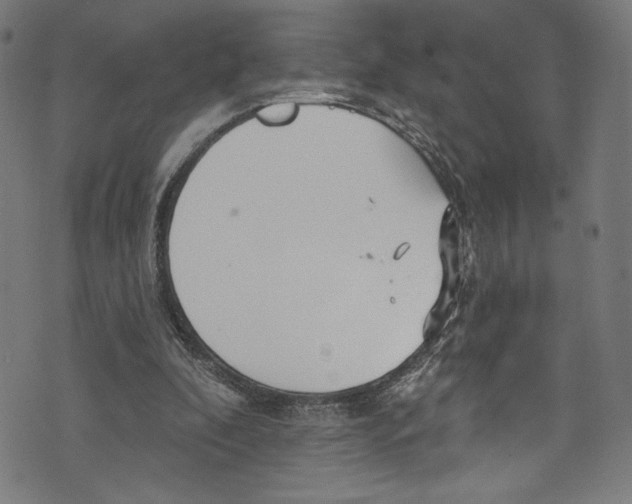 X0000072990296200608211523