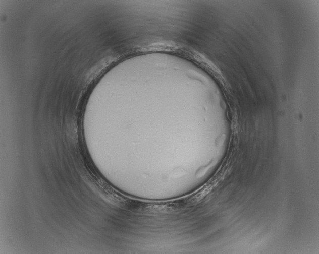 X0000072990298200608211523