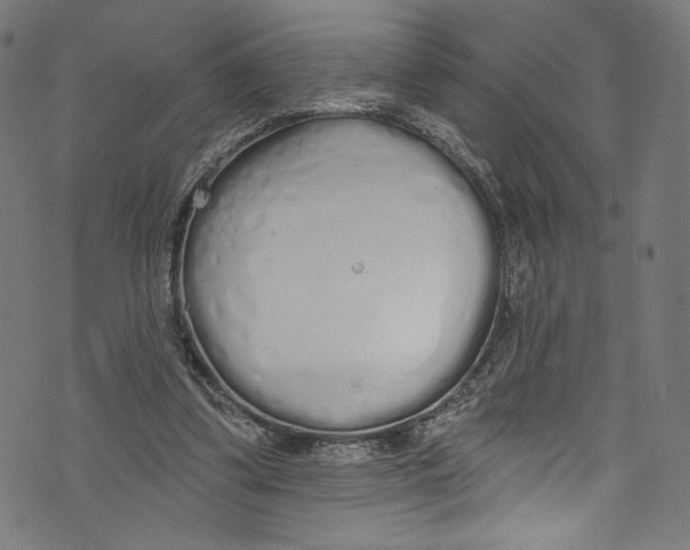 X0000072990299200608211523