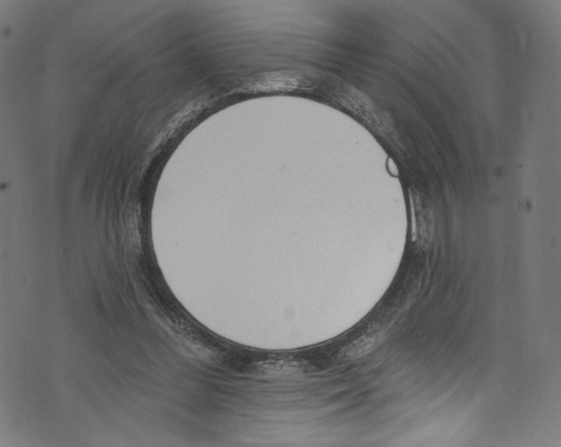 X0000072990300200608211523