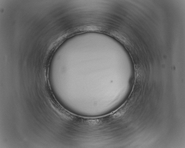 X0000072990302200608211522