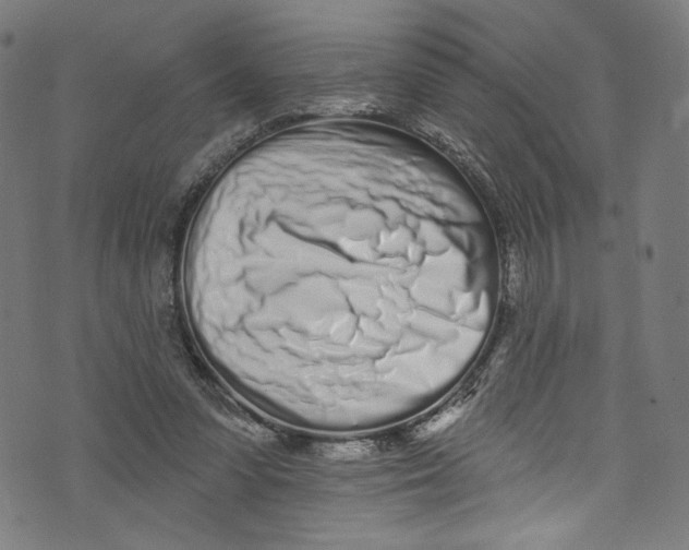 X0000072990303200608211522