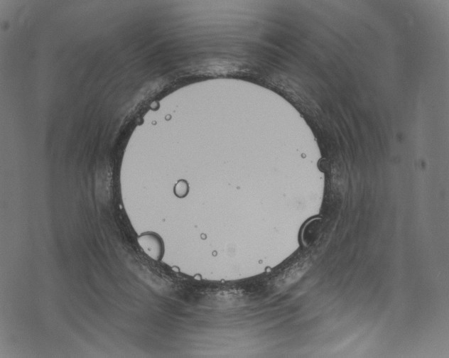 X0000072990304200608211522