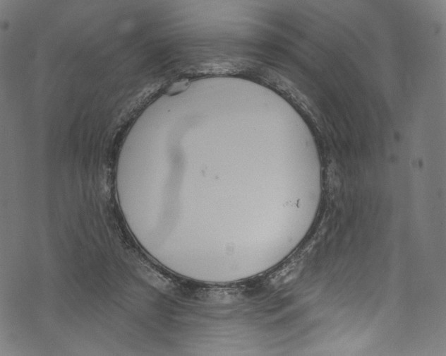 X0000072990305200608211522