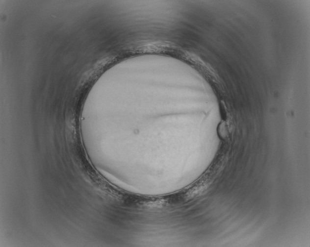 X0000072990306200608211522