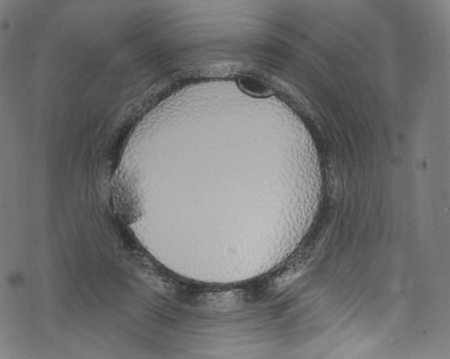 X0000072990307200608211522