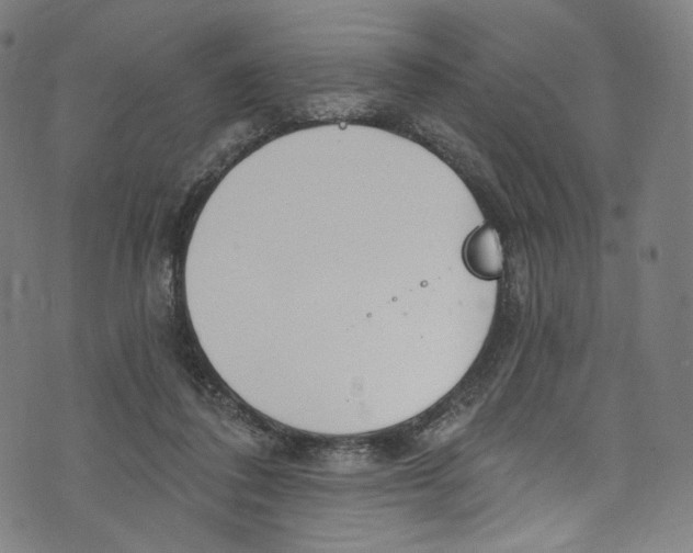 X0000072990308200608211522