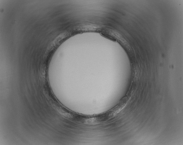 X0000072990309200608211522