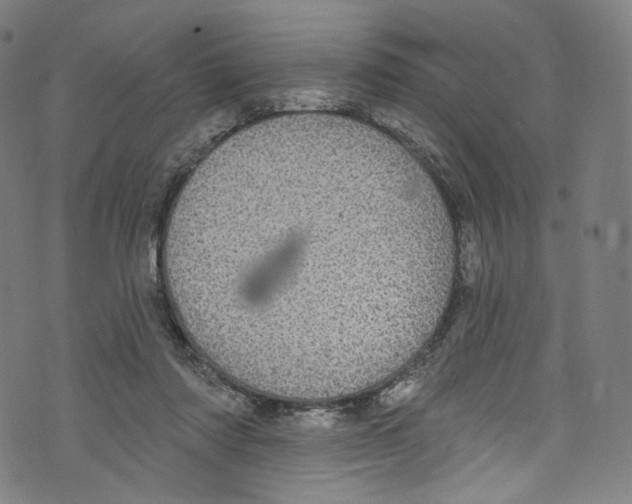 X0000072990310200608211522