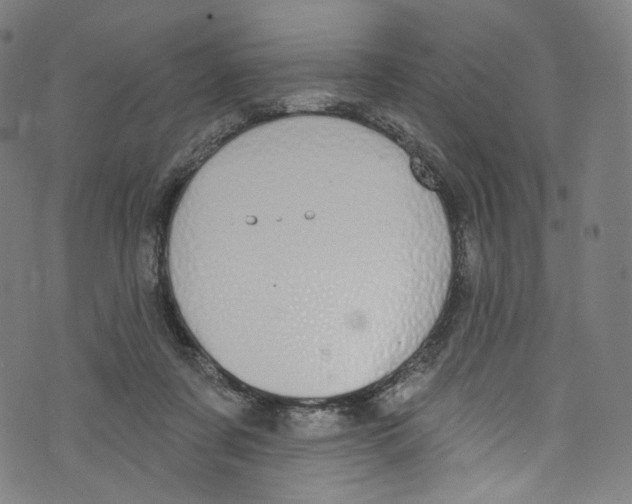 X0000072990311200608211522