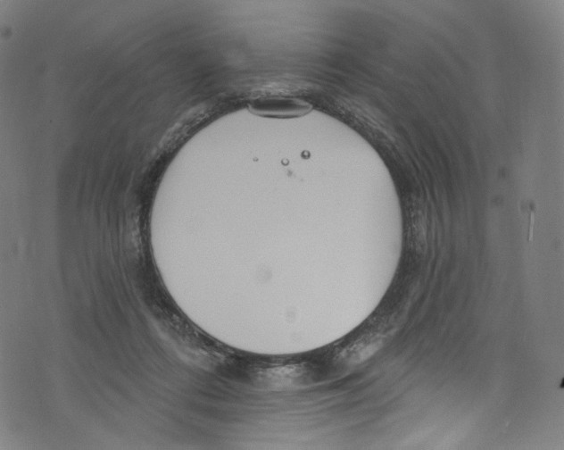 X0000072990312200608211522