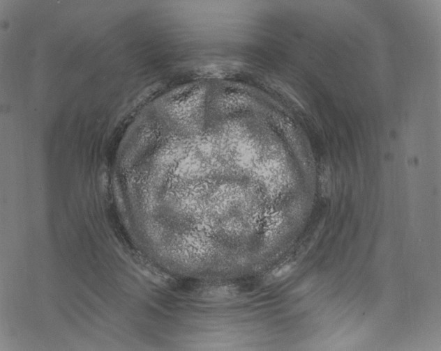 X0000072990314200608211522