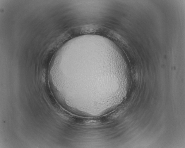 X0000072990315200608211522