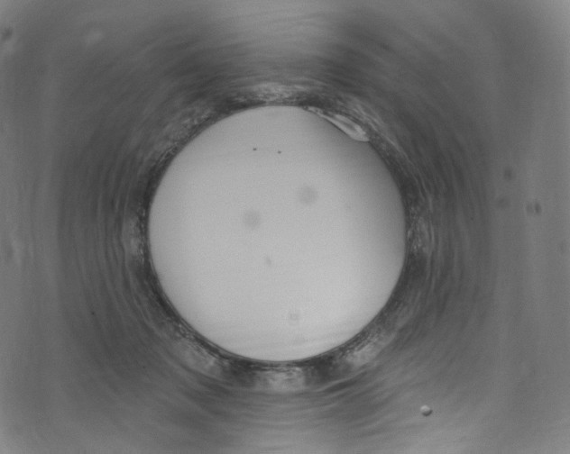 X0000072990317200608211522