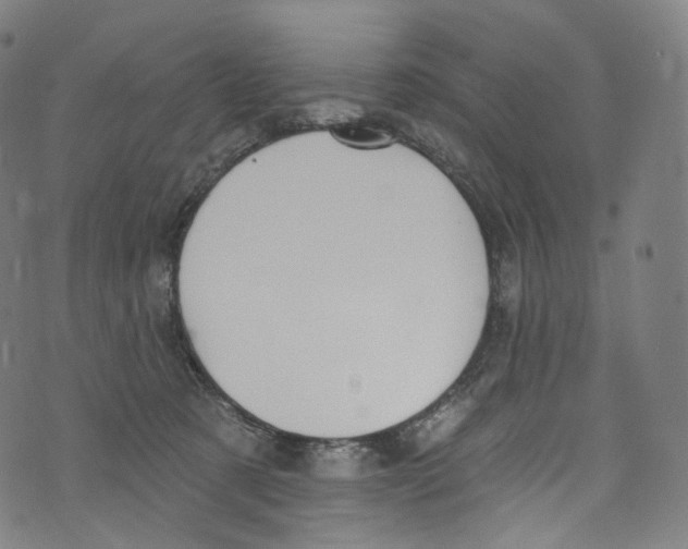 X0000072990321200608211522