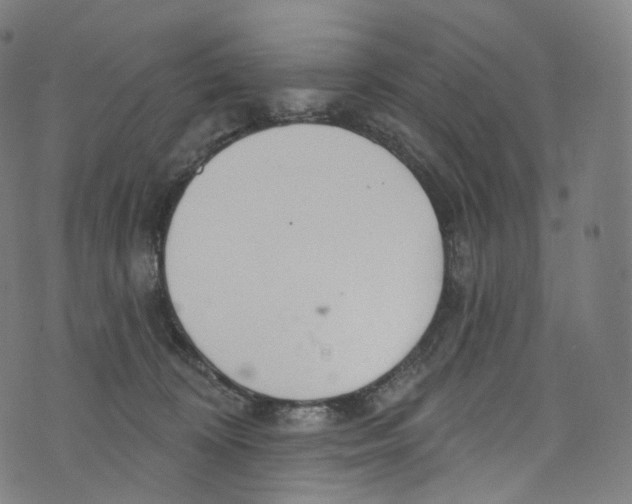 X0000072990324200608211522