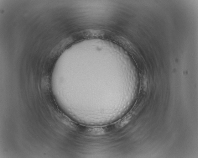 X0000072990326200608211522