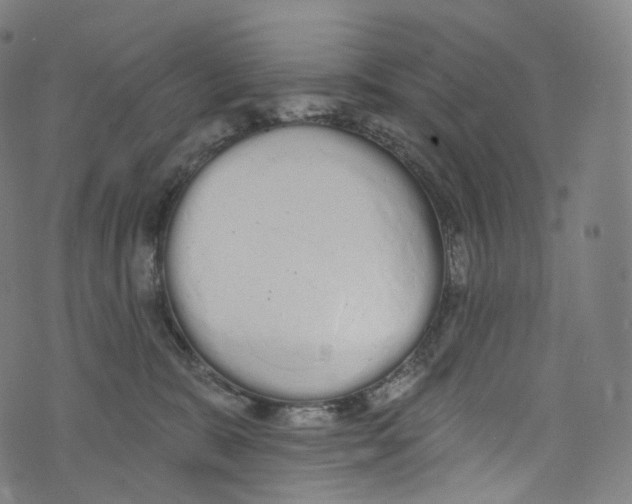 X0000072990327200608211522