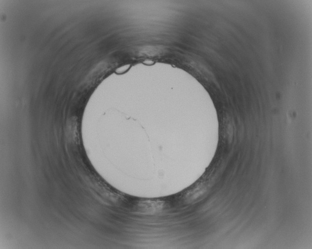 X0000072990328200608211522