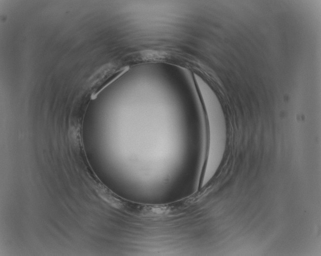 X0000072990329200608211522