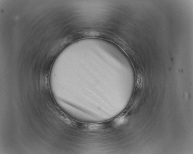 X0000072990330200608211522