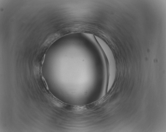 X0000072990333200608211522