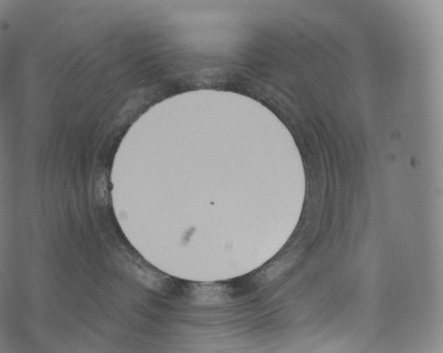 X0000072990336200608211522