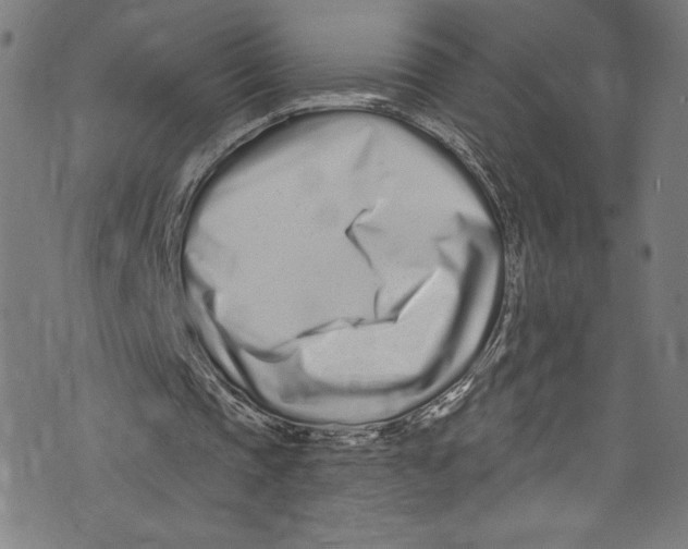 X0000072990337200608211521