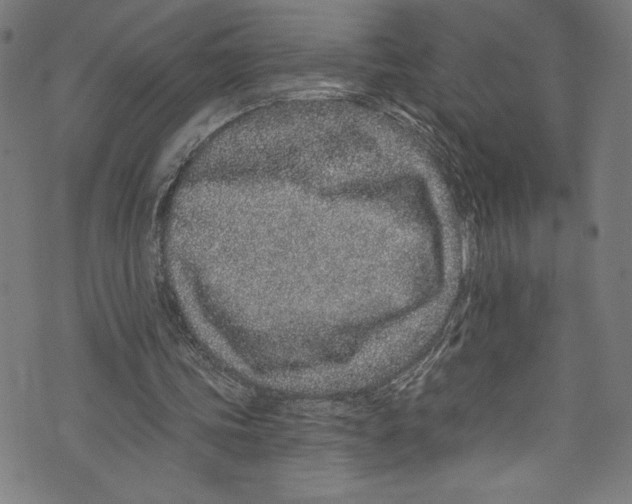 X0000072990339200608211521