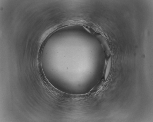 X0000072990340200608211521