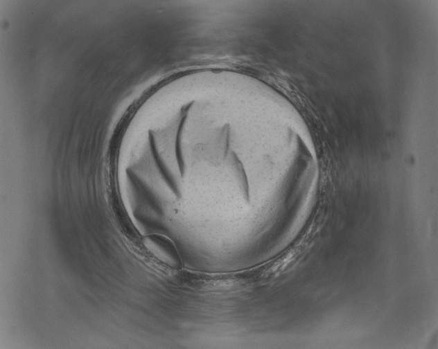 X0000072990342200608211521