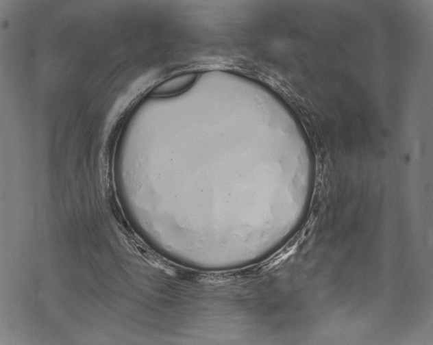 X0000072990343200608211521