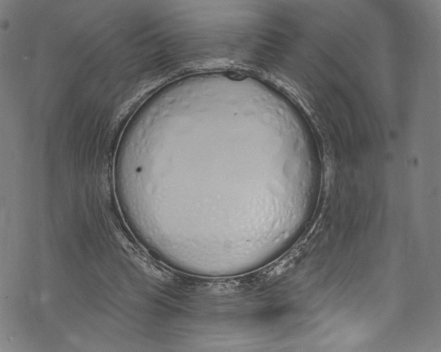 X0000072990345200608211521