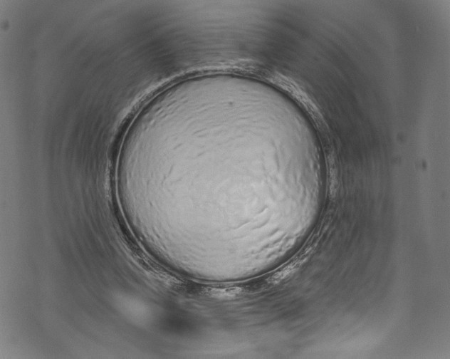 X0000072990346200608211521