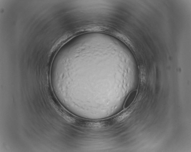 X0000072990349200608211521