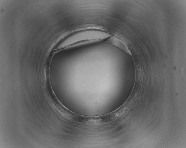 X0000072990350200608211521