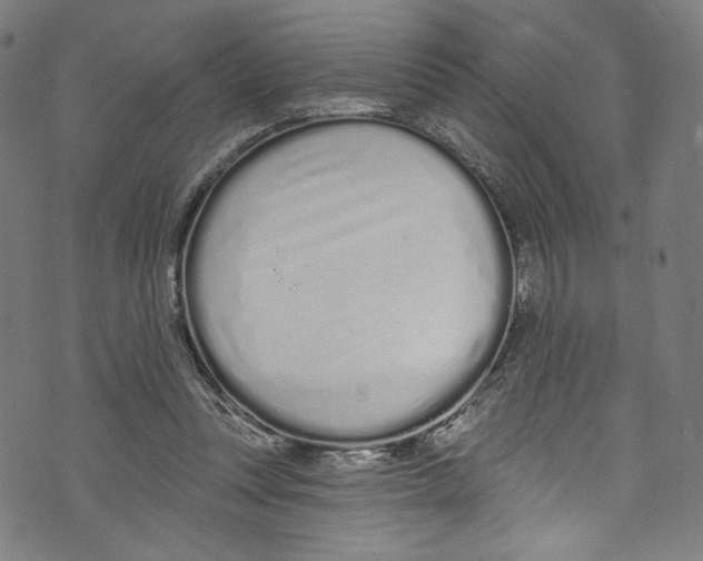 X0000072990351200608211521